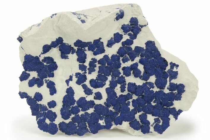 Vibrant Blue Azurite Sun Cluster on Siltstone - Australia #217961